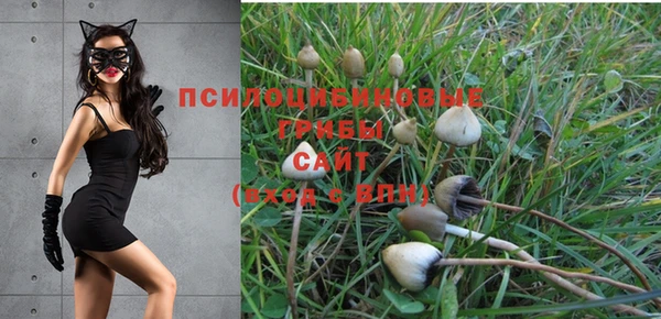 прущая мука Мегион