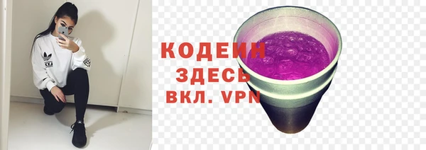твердый Медногорск