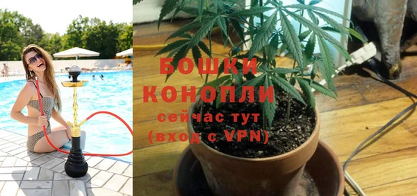 твердый Медногорск